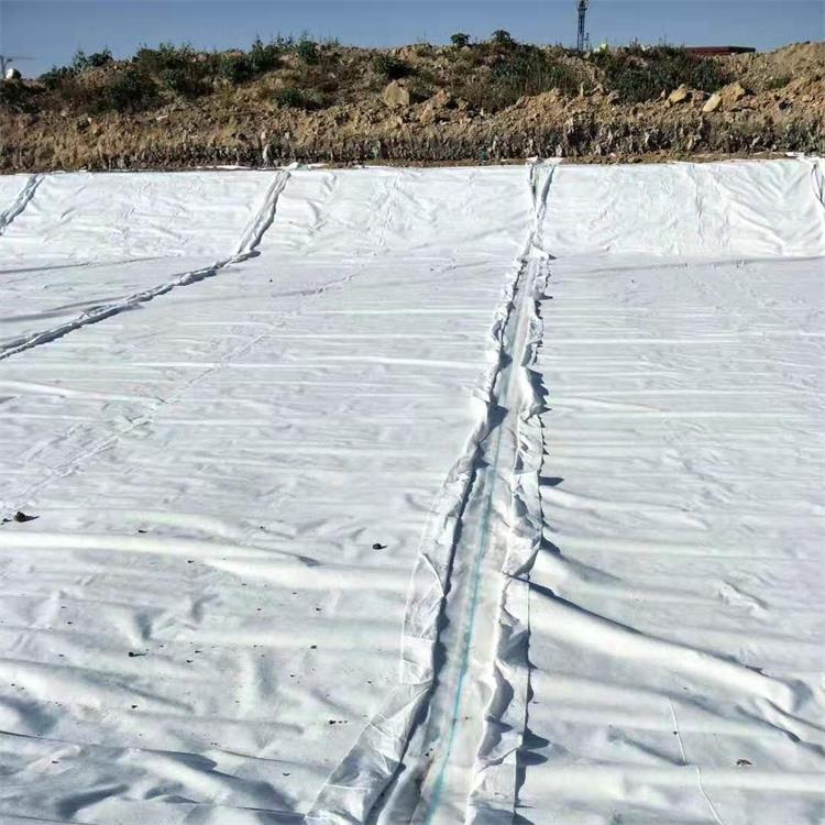 300g防渗土工布 复合土工布厂家