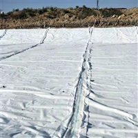 300g防渗土工布 复合土工布厂家