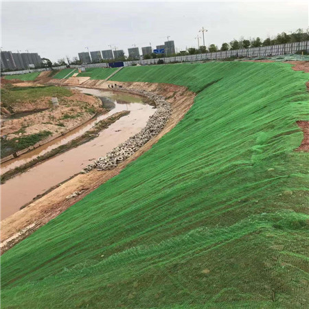 三维植草网 护坡三维植被网价格 娄底三维土工网照片