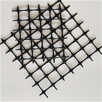 JDPP40-40MS煤矿塑料支护网量大优惠 塑料网假顶生产厂家