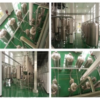 中意隆 果蔬酵素饮料生产设备 杨梅果酒生产设备 规格齐全