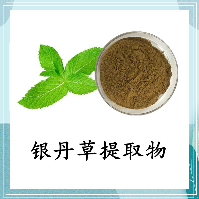 银丹草提取物 斯诺特 可定制