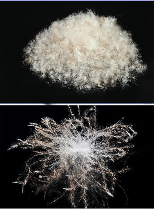 羽绒的质量标准:成分含量,填充物净重,(鹅鸭毛)种类鉴定(含绒量),蓬松