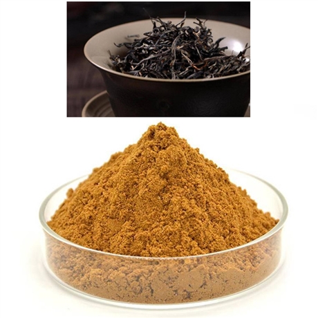 普洱茶粉多种比例提取