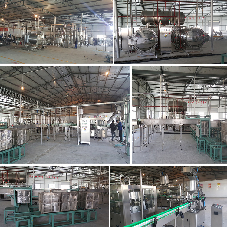 中意隆 成套苹果醋饮料灌装设备 苹果醋饮料加工设备 欢迎选购