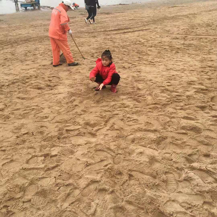 高尔夫球场海沙 室外沙滩海沙 儿童玩耍海沙