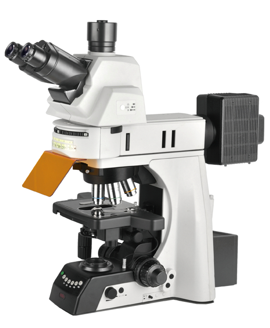ne930fl电动荧光显微镜