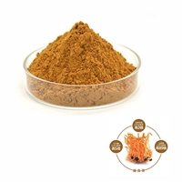 發(fā)酵蟲草菌粉 斯諾特源頭工廠批發(fā)