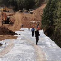 400kn加筋濾網(wǎng) 機(jī)場(chǎng)擋墻 b型d型加筋濾網(wǎng) 廠家定制生產(chǎn)加筋濾網(wǎng)