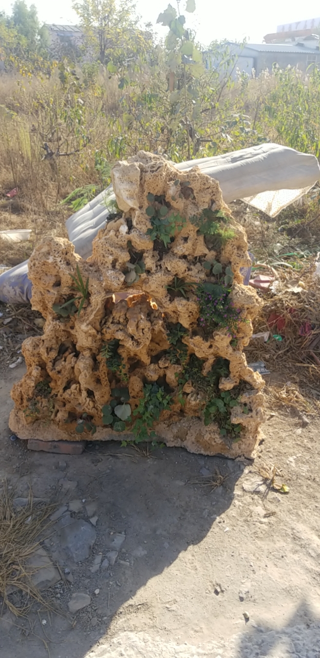 批发吸水石上水上水景吸水石吸水石假山吸水石价格欢迎下单批发选购