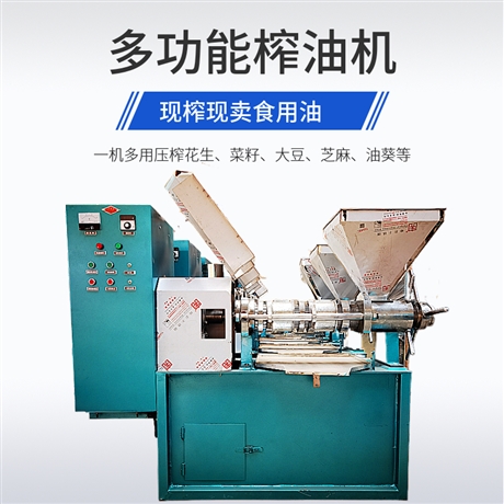 凱迪機(jī)械 全自動(dòng)液壓榨油機(jī) 核桃花生榨油設(shè)備 商用香油機(jī)100型