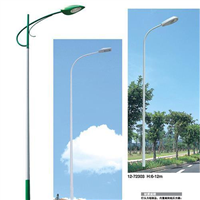 成都路灯厂 定制热侵锌锥杆10米12m路灯杆 LED户外照明道路灯