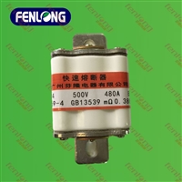RS0-50/100/200/400/600熔断器-芬隆品牌