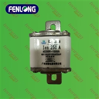 RS3-200/400/600/1000A熔断器-芬隆品牌