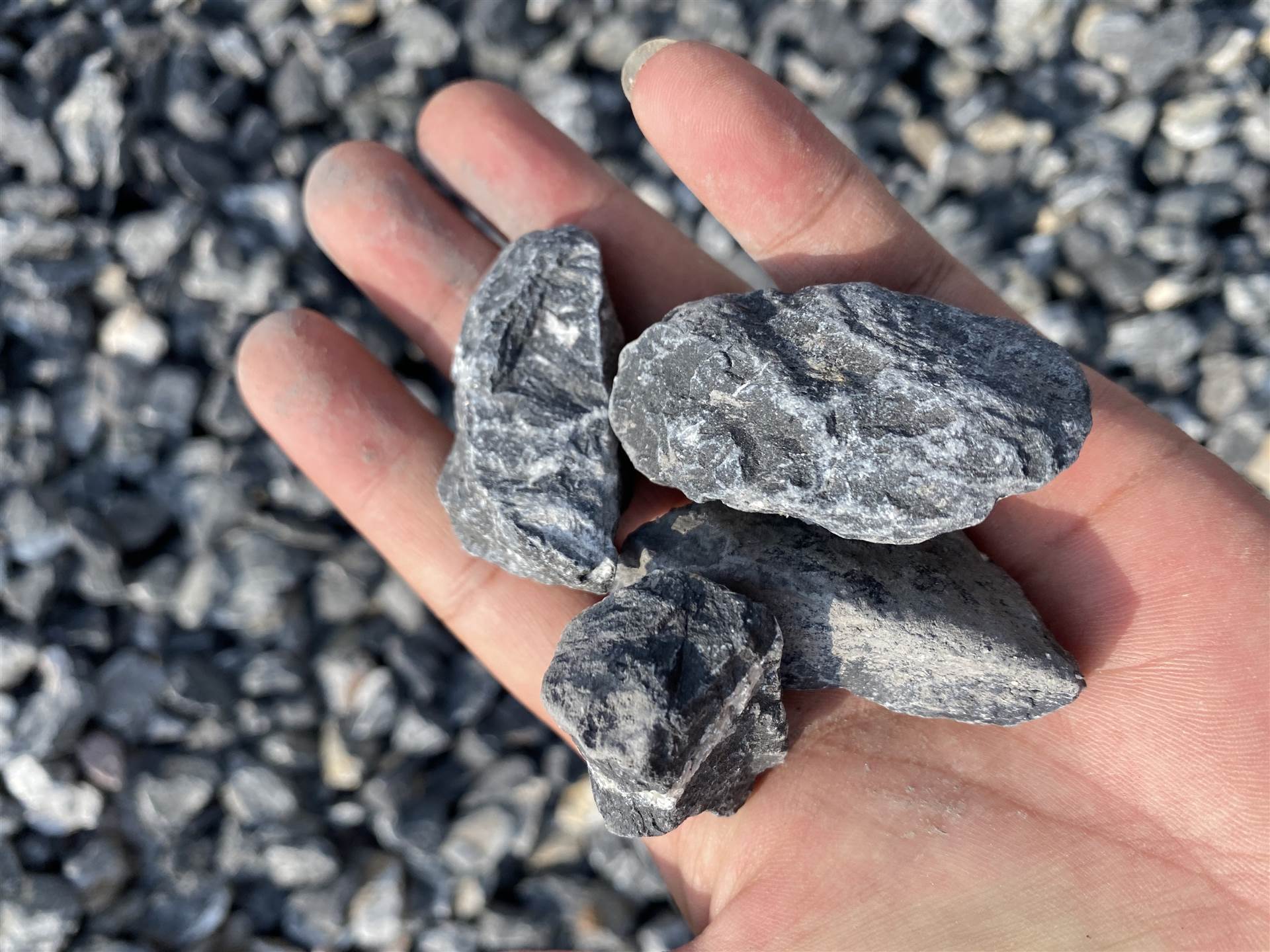 主营灰黑色砾石米庭院铺装石米