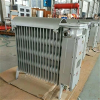 防爆电热取暖器RB-2000/127(A) 煤矿用隔爆型电热取暖器 厂家直供