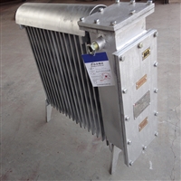 煤矿用隔爆兼增安型电热取暖器RB-2000/127(A)  安泰厂家直发