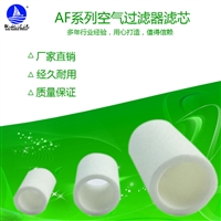 AF30P-060AS过滤器精密滤芯