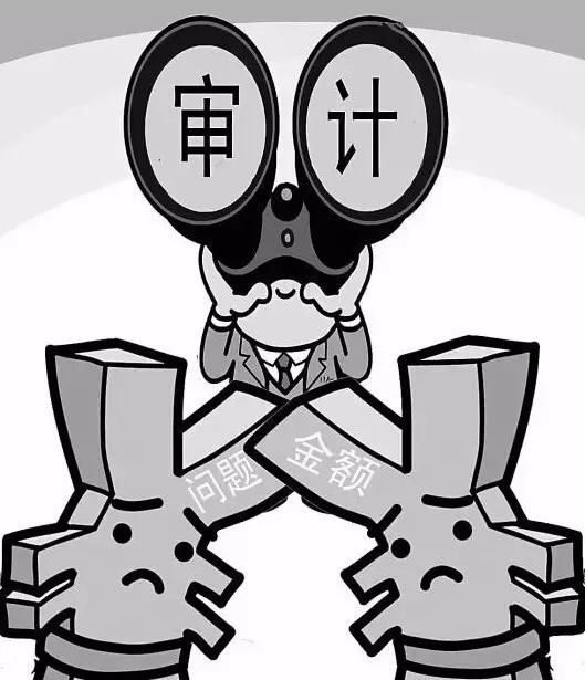 公司审计及验资