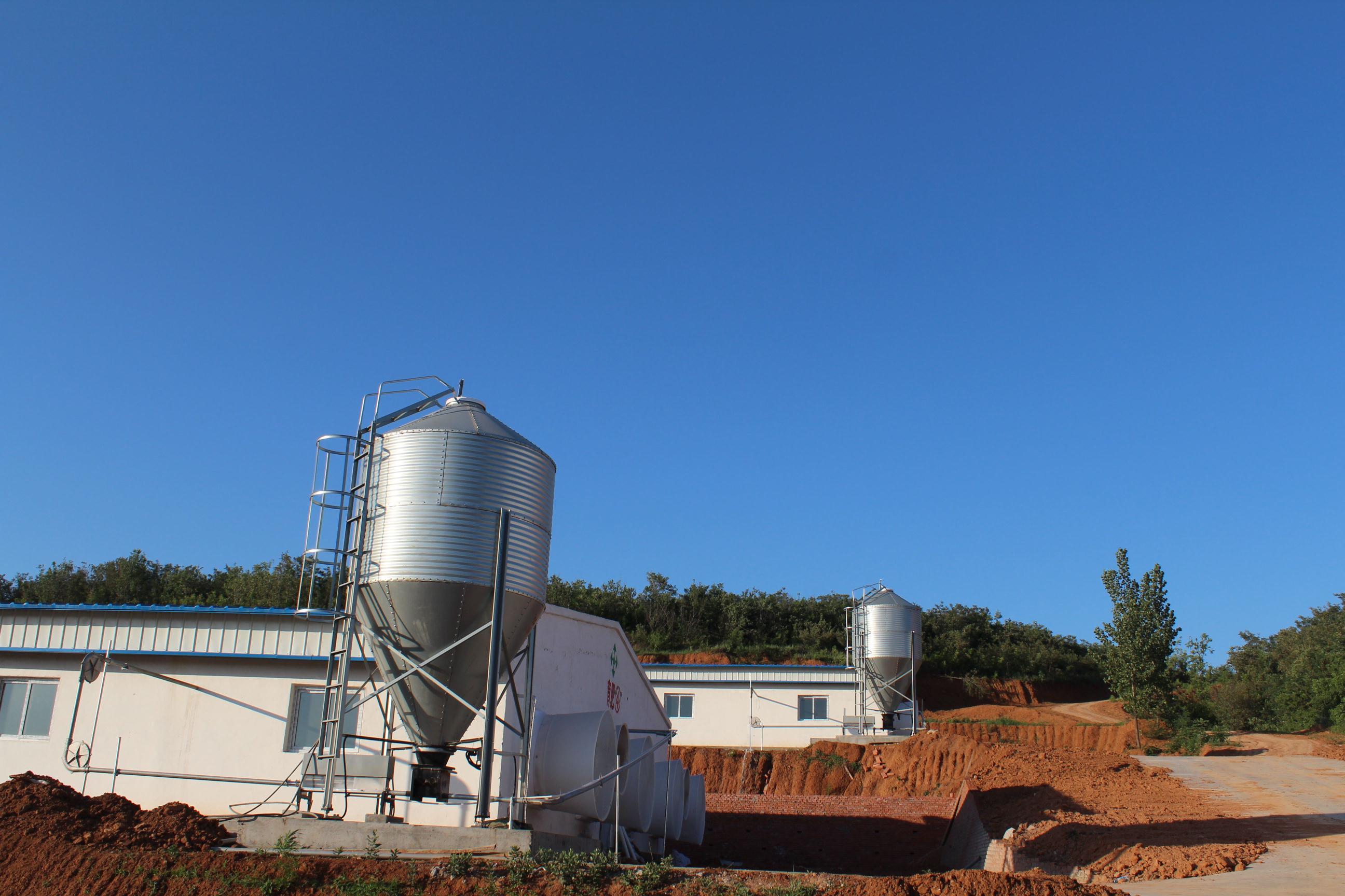 镀锌板料塔猪用喂料塔