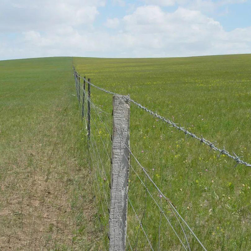 生态保护围栏网畜牧场围网草原封育围栏网片