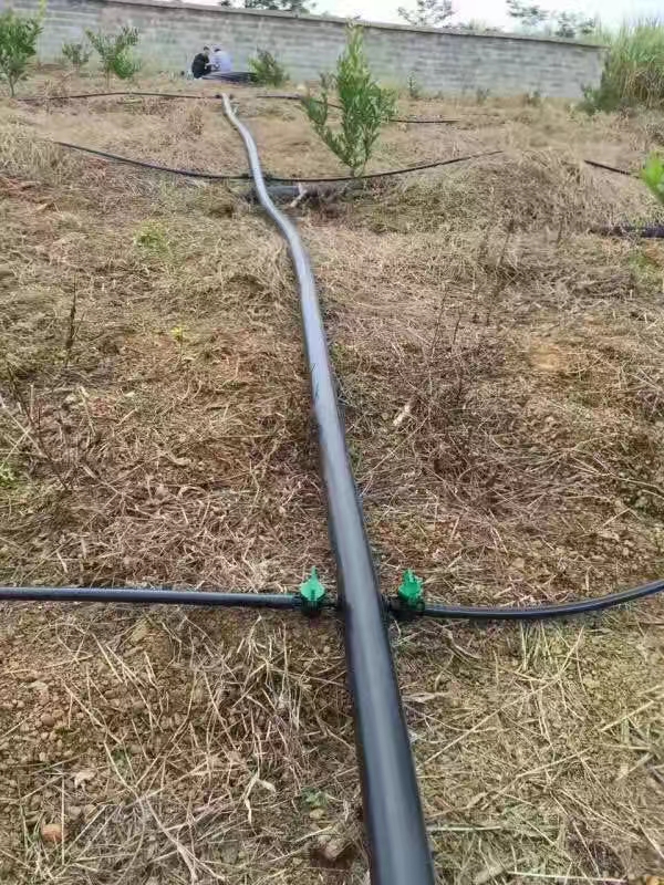 全国销售批发滴灌管 大棚蔬菜内镶圆柱型滴灌管