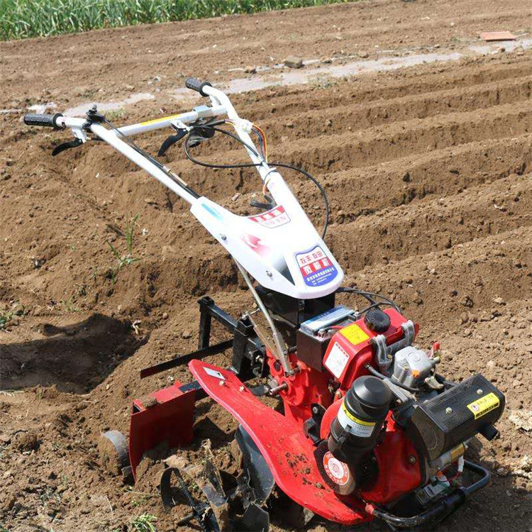 单犁铧耕田机自走式施肥旋耕机手扶式微耕机图片