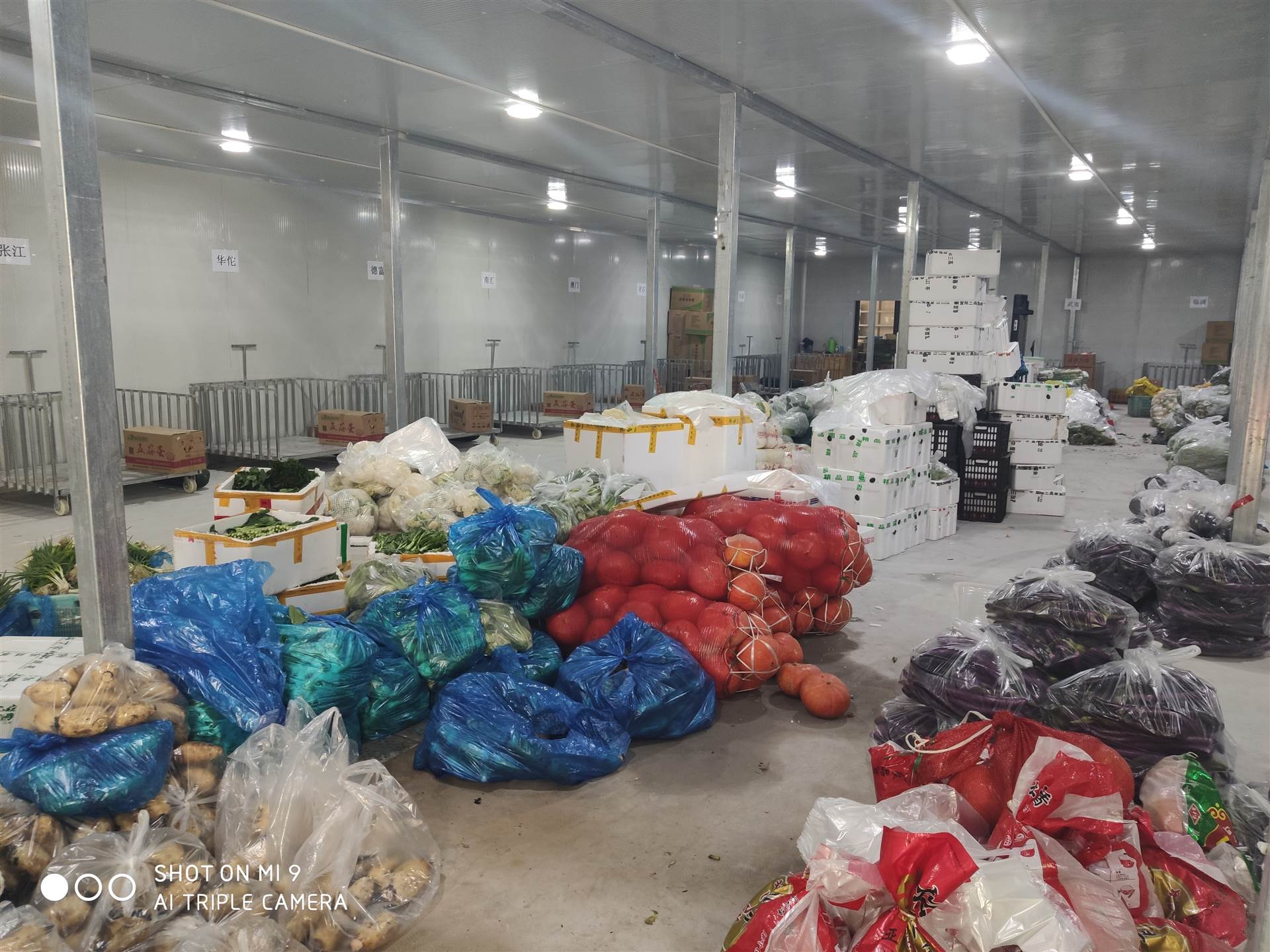 雪艺定制果蔬保鲜冷库造价