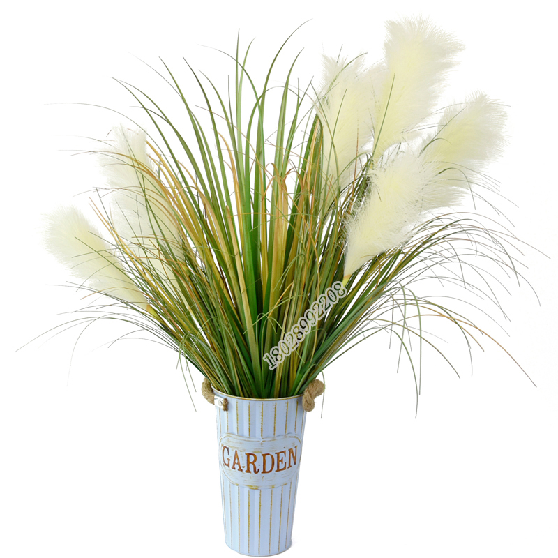 树猫仿真洋葱草阻燃秋色大叶草插花场景布置假草室内装饰草摆件