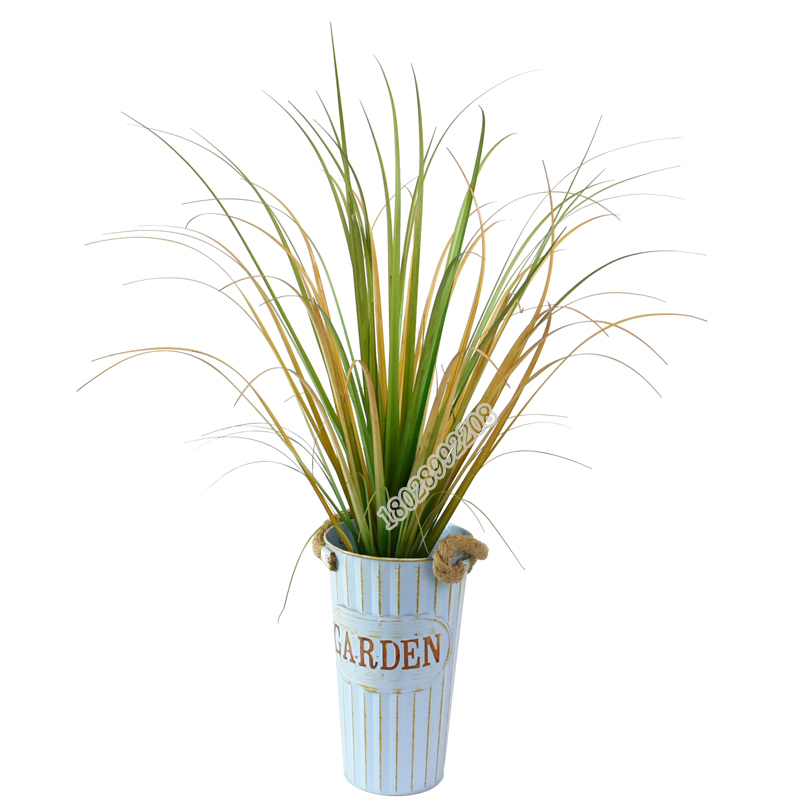 树猫仿真洋葱草阻燃秋色大叶草插花场景布置假草室内装饰草摆件