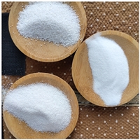 海滨儿童沙滩白沙 40- 80目酒店烟灰缸用白色石英砂 球场用白沙