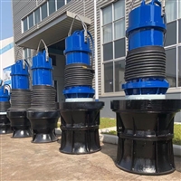 潜水轴流泵-轴流泵厂家-轴流泵安装-轴流泵售后服务