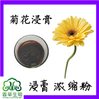 菊花浸膏  菊花提取物  菊花提取液