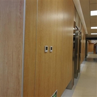 a級不燃裝飾板 不燃抗菌板 木紋單色布紋潔菌板 抗菌醫療板定制花型