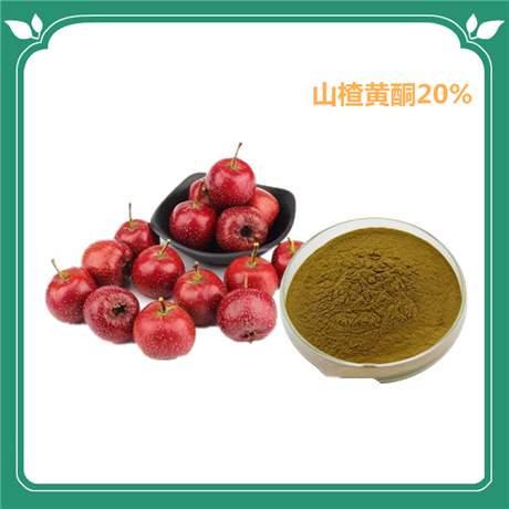 山楂黄酮 棕黄色粉末 HPLC 扶风斯诺特生物