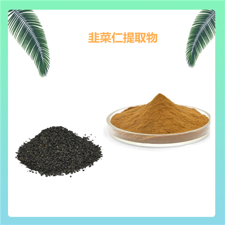 韭菜仁提取物 水溶或醇溶 棕黄色粉末 喷雾干燥