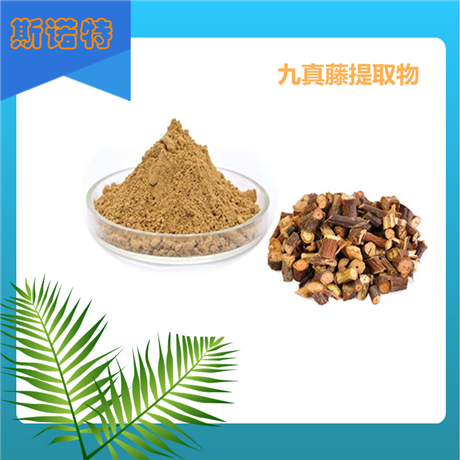 九真藤提取物 棕黄色精细粉末  斯诺特生物 喷雾干燥