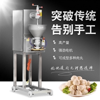 大产量肉丸成型机丸子机器设备