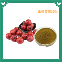 山楂黄酮 棕黄色粉末 HPLC 扶风斯诺特生物