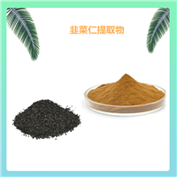 韭菜仁提取物 水溶或醇溶 棕黄色粉末 喷雾干燥