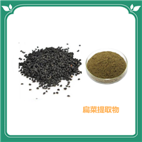 扁菜提取物  韭菜子浸膏粉 水溶性 斯诺特生物