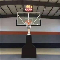  成人家用室内儿童移动 升降篮球架 永泰体育支持定制