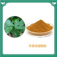 牛角花提取物 斯诺特生物 棕黄色精细粉末 喷雾干燥