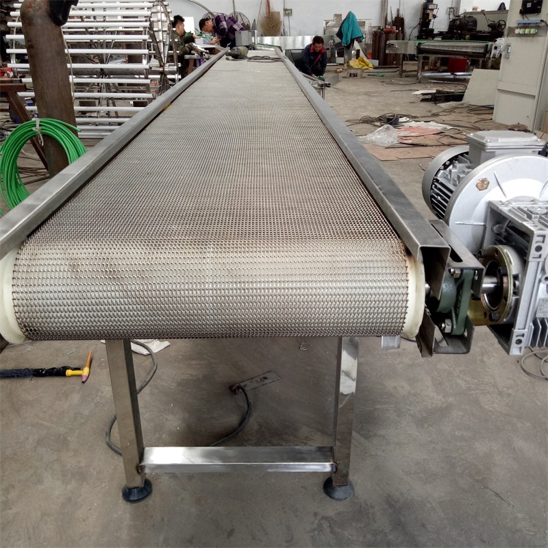 网带输送机-网带输送机供应/多少钱/哪家好-宁津鸿晨网链设备有限公司