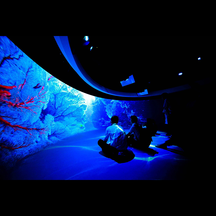 沉浸式全息投影展厅 四面墙激光投影动画