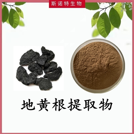 扶风斯诺特  地黄根提取物  棕黄色精细粉末 喷雾干燥