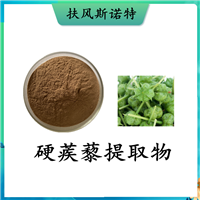 扶风斯诺特 硬蒺藜提取物  棕黄色粉末 喷雾干燥