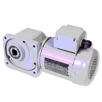 齿轮电机直交轴HL齿轮电机 士元减速机