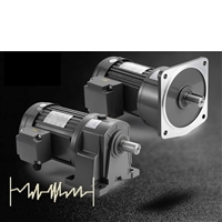 士元 微型交流减速电机 生产厂家