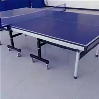永泰体育供应 休闲场地防水防雨乒乓球台 室内外可移动易安装